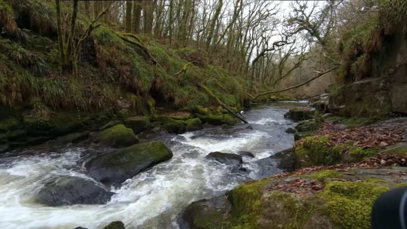 View of Golitha Falls from the other side